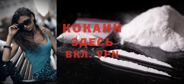 мдпв Верея