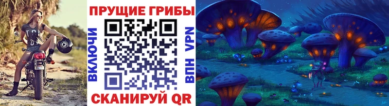 Псилоцибиновые грибы Magic Shrooms  Новопавловск 